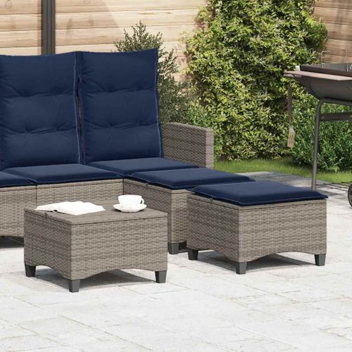 Vidaxl Tabourets Jardin Coussins 2 Pcs Gris 55x55x36 Cm Résine Tressée