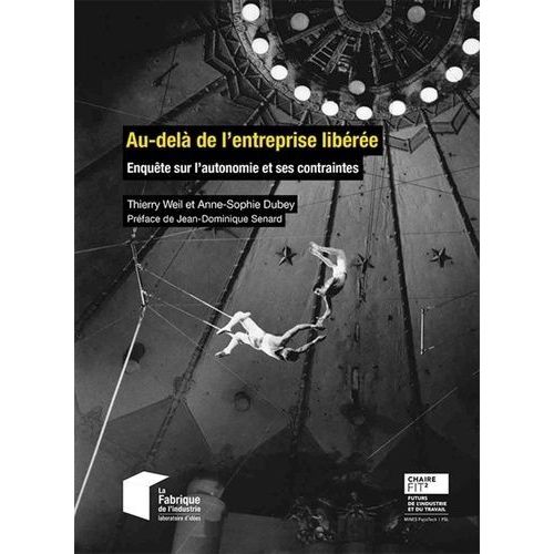 Au-Delà De L'entreprise Libérée - Enquête Sur L'autonomie Et Ses Contraintes