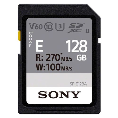 SONY Carte SD 128Go Go R270/W100 - SFE-128-A