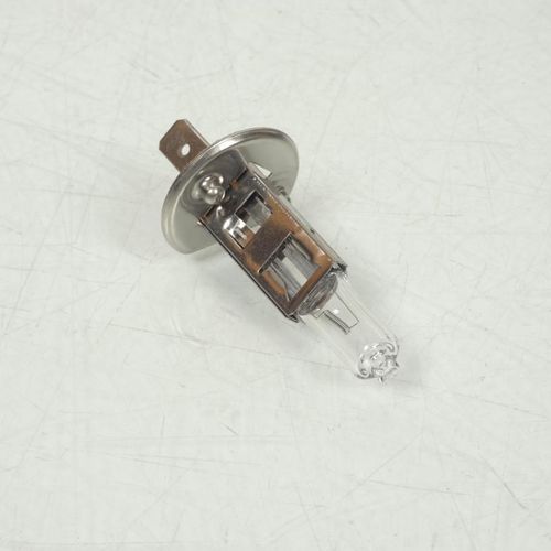 Ampoule Berner Pour Moto Ktm 620 Duke E 1995 À 1999 Av Neuf
