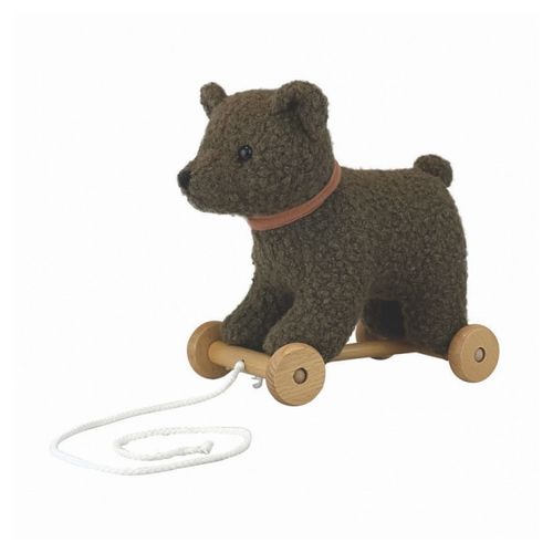 Raoul L'ours En Peluche A Tirer