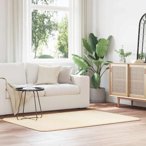 Vidaxl Tapis Shaggy À Poils Longs Navarra Crème 120x170 Cm Polyester