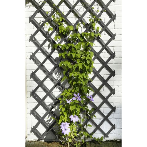 Nature Treillis De Jardin 50x150 Cm Bois Anthracite