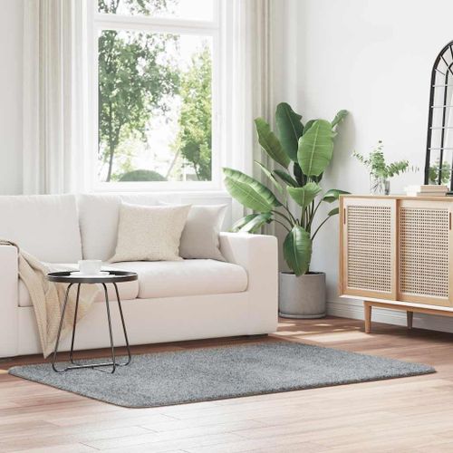 Vidaxl Tapis Shaggy À Poils Longs Navarra Gris Argenté 120x170 Cm