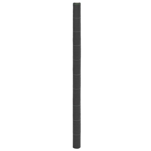 vidaXL Membrane anti-mauvaises herbes noir 2x10 m PP