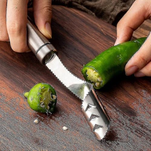 Poivrier en acier inoxydable dentelé dissolvant de graines Outils de cuisine avec trou de suspension1pcs - HE