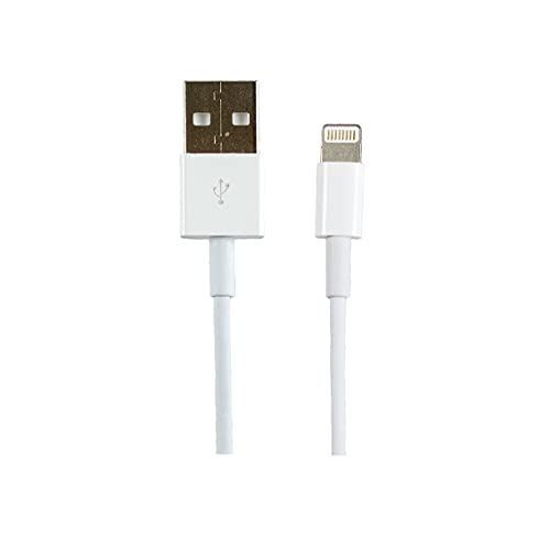 APM - Câble Lightning - USB (alimentation uniquement) mâle pour Apple Lightning (alimentation uniquement) mâle - 1.5 m - blanc