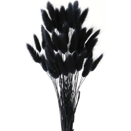50 Bâtons Queue de Lapin Fleur Séchée, Herbe de Pampa Séchée, Décoration en Pampas Séchées, Herbe De La Pampa Fleurs Séchées Convient pour Les Mariages, Décorations Florales Bohémiennes (Noir).[G664]
