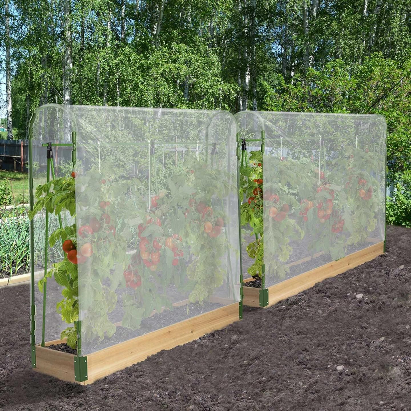 Duo Serres � Tomates Modulable Sp�ciale Croissance Kit Complet B�che + Supp... - 3