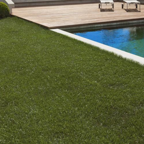 Gazon Synthétique Artificiel 1x10 M 40 Mm D'épaisseur Pour Jardin Et Balcon