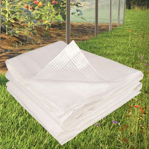 Bache Armee transparente 6x10m renforcee