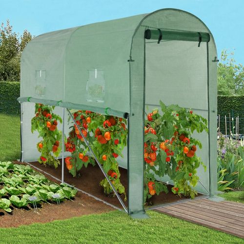 Serre À Tomates Relevable Verte 2 Fenêtres Avec Moustiquaire Et Porte Zippée