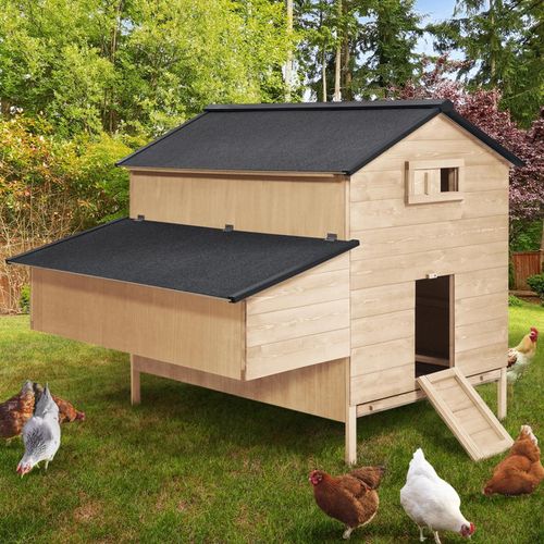 Poulailler Chalet 15-18 Poules Avec Pondoir En Bois