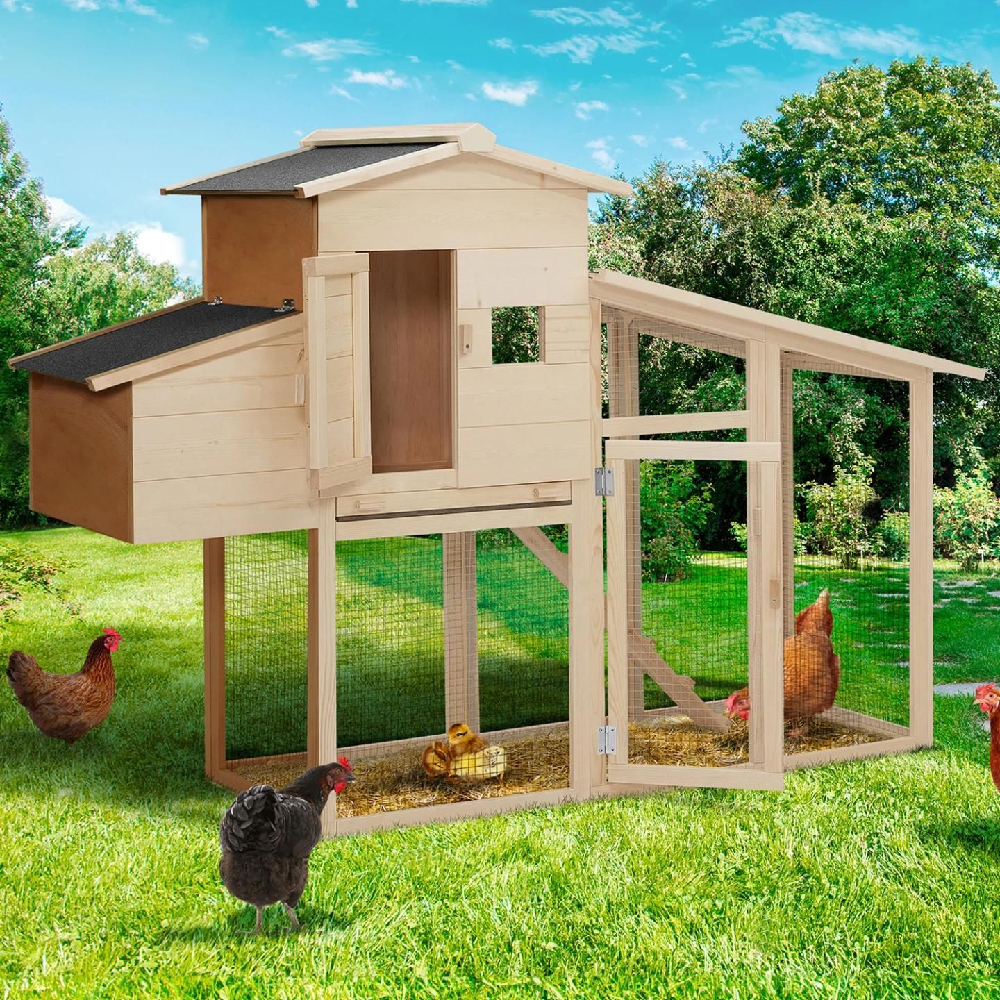 Poulailler Comfort Avec Pondoir En Bois