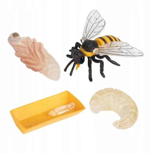 Figurines De Jouets De Simulation Du Cycle De Vie Des Abeilles