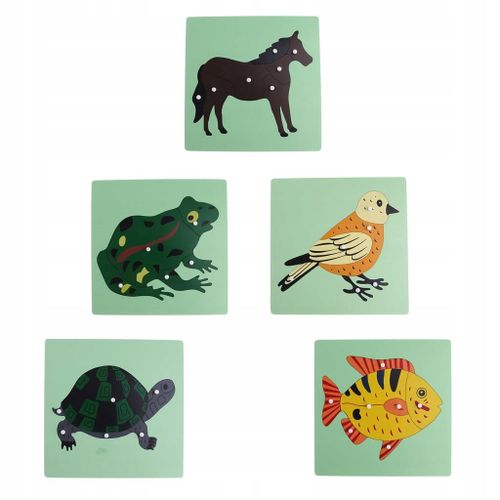 Puzzles Montessori Zoologie 5 Squelettes d'animaux