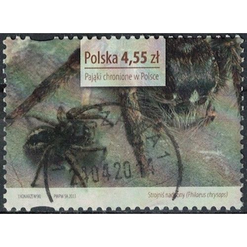 Pologne 2013 Oblitéré Used Araignée Jumping Spider Philaeus Chrysops Y&t Pl 4351