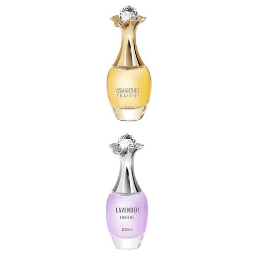 2x 50ml Women's Perfume Long Lasting Eau De Perfum Toilette Spray Gifts 