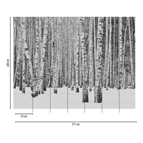Papier peint photo Profhome 382591-GU papier peint intissé gaufré à chaud lisse avec motif forêt mat noir blanc gris 3,71 m x 2,8 m