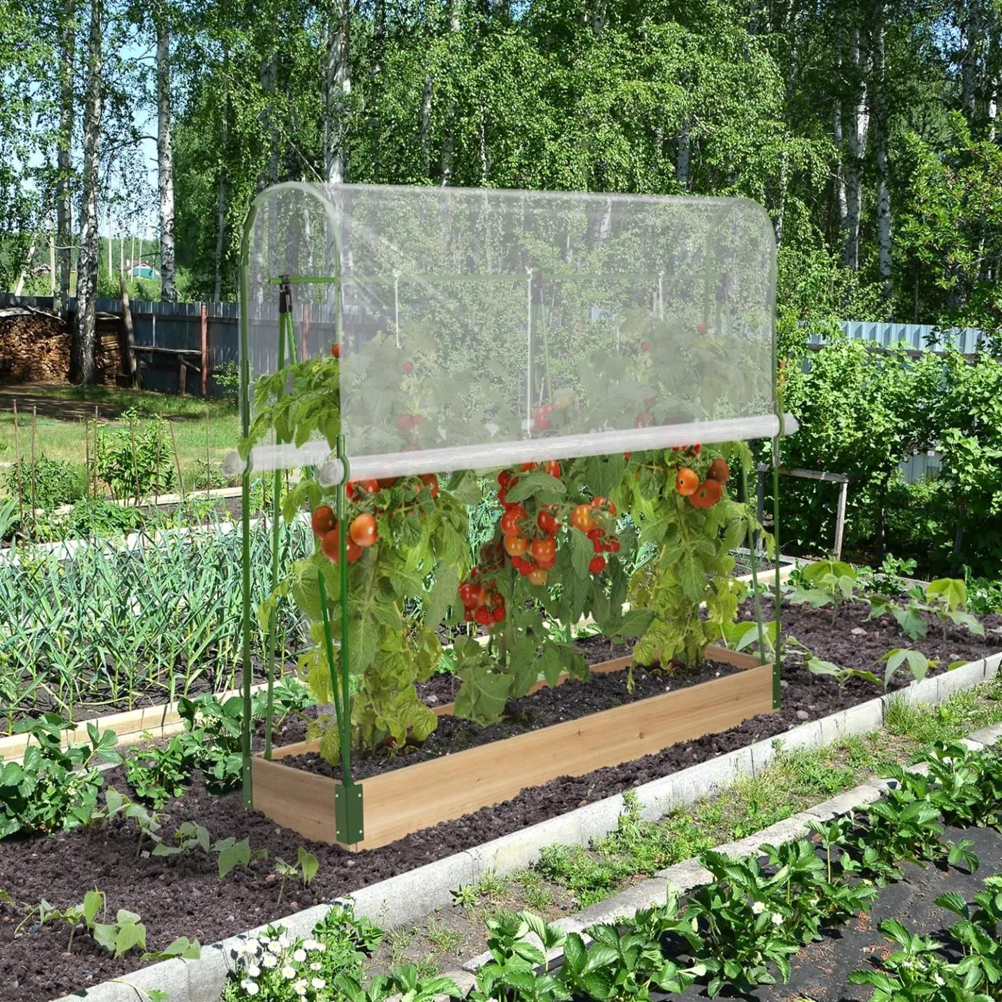 Serre � Tomates Sp�ciale Croissance Kit Complet B�che + Support - 7