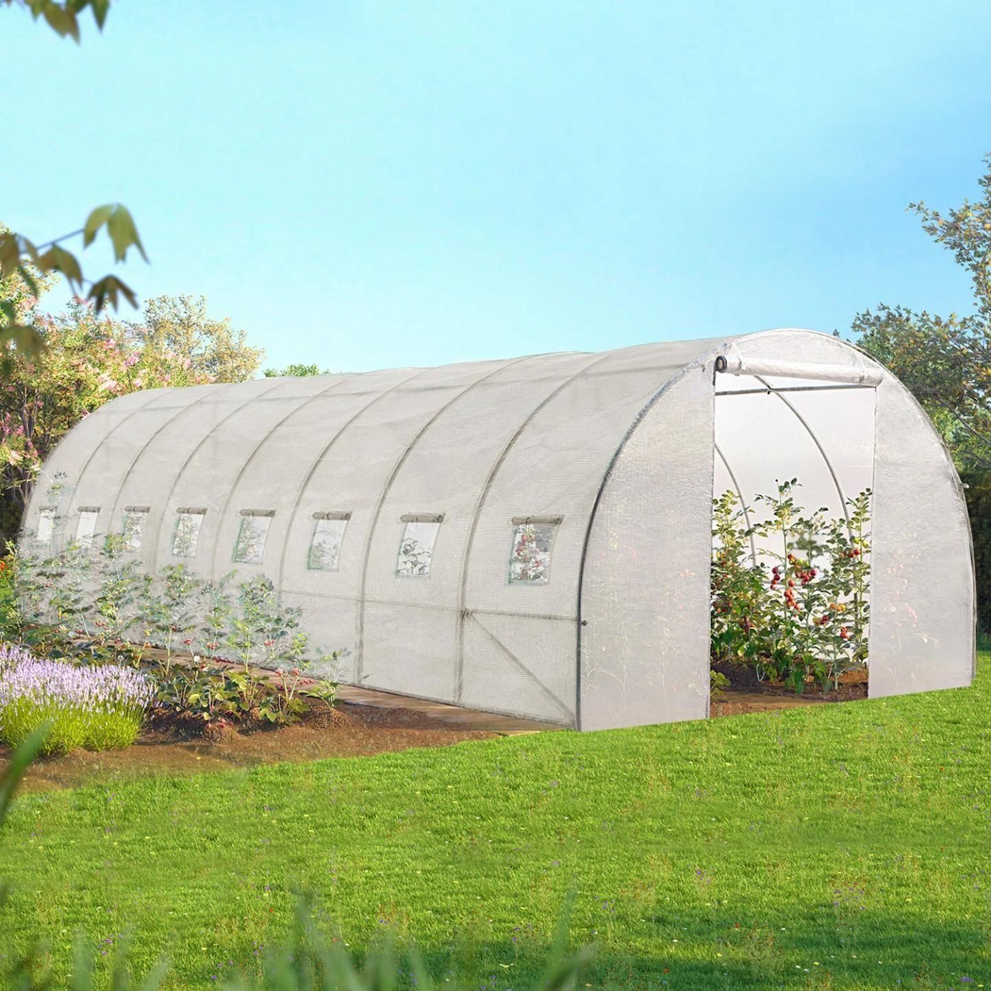 Serre Tunnel De Jardin 24m Blanche Gamme Marachre Des Andes 8x3m - 4
