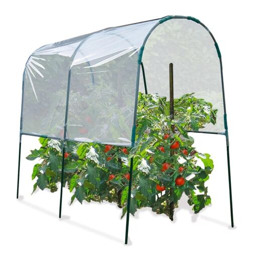 Serre � Tomates 2 M - 2