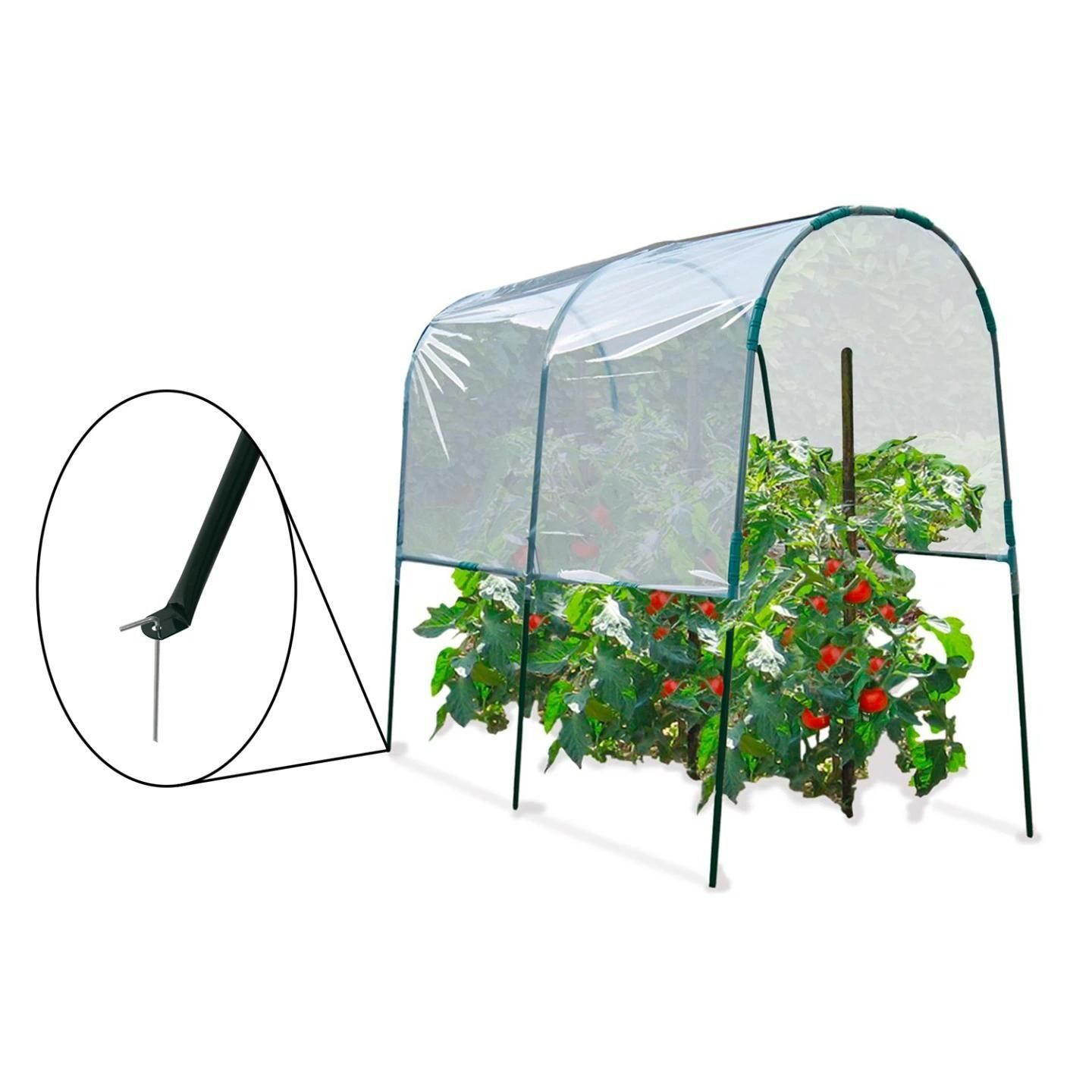 Serre � Tomates 2 M - 3