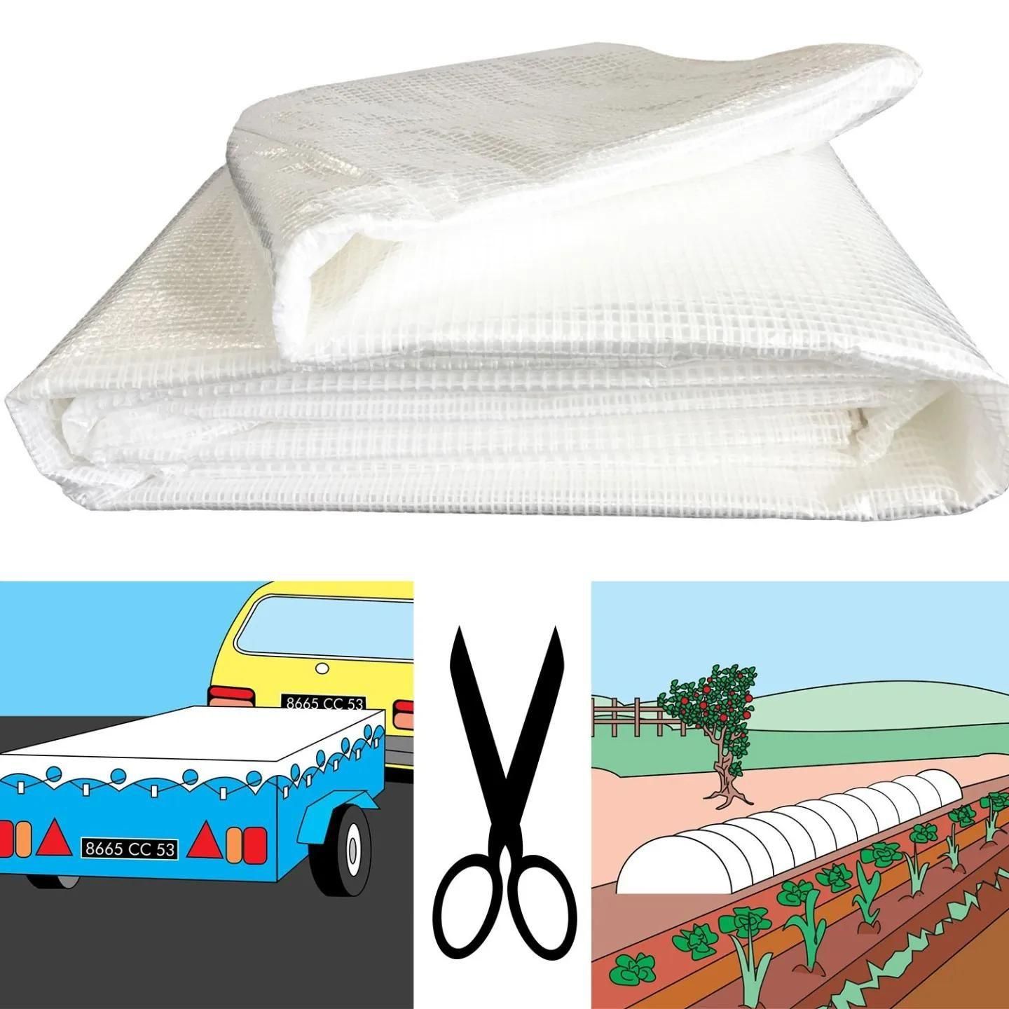 B�che Arm�e Transparente 5x8m Renforc�e - 4