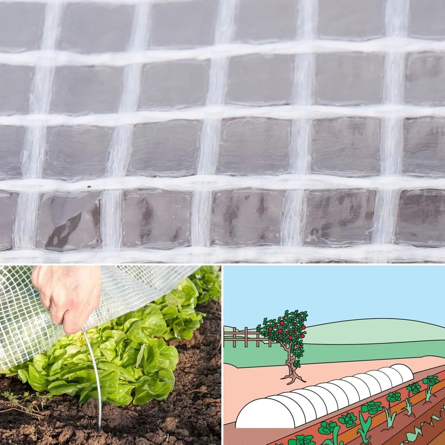 B�che Arm�e Transparente 5x8m Renforc�e - 6