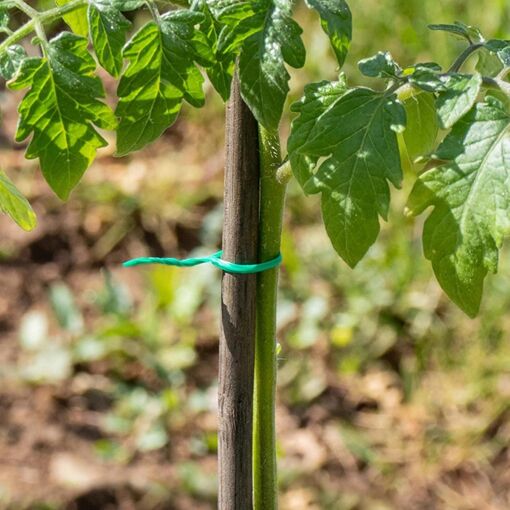 Lien De Fixation Pour Brise Vue 30 M - 3