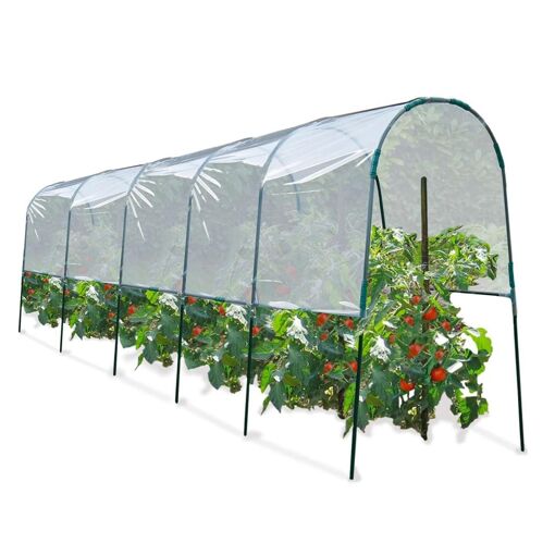 Serre � Tomates 6 M - 2