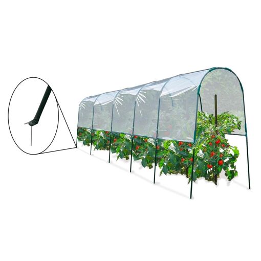 Serre � Tomates 6 M - 3