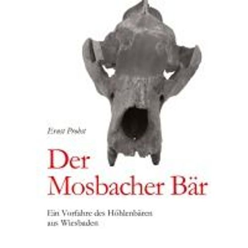 Der Mosbacher Bär