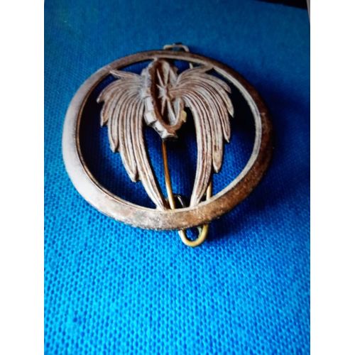 Insigne Broche Badge Béret Militaire