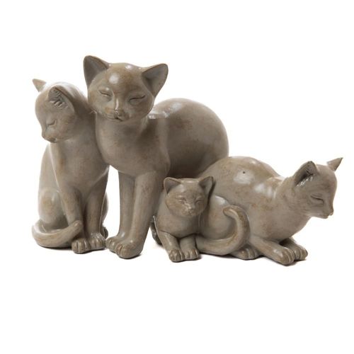 Chat famille crème