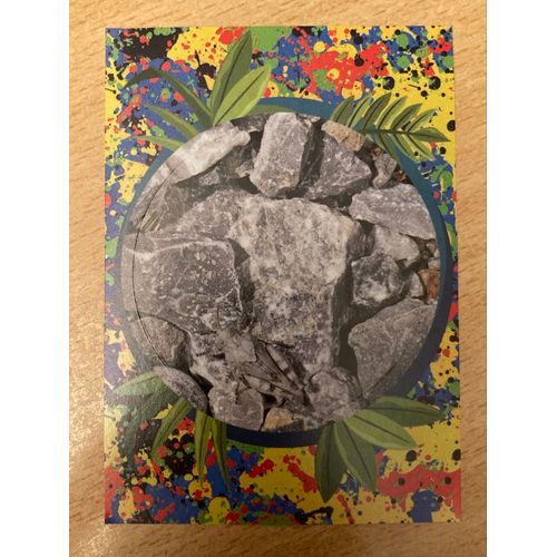 (4164) Image Panini X6 Le Monde Des Animaux Mille Et Une Couleurs 