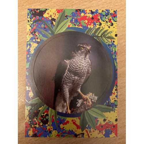 (3908) Image Panini 91 Le Monde Des Animaux Mille Et Une Couleurs 