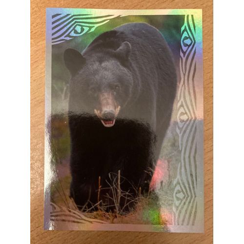 (4236) Image Panini 98 Le Monde Des Animaux Mille Et Une Couleurs 