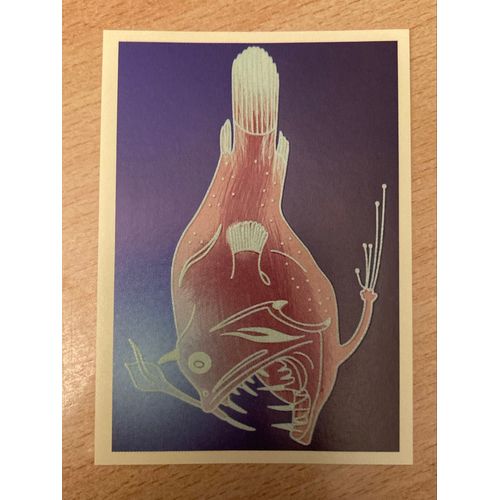 (4094) Image Panini X18 Le Monde Des Animaux Mille Et Une Couleurs 