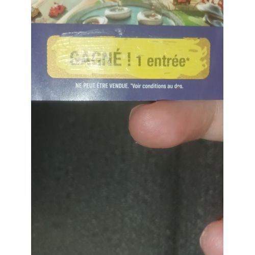Ticket Futuroscope Valable