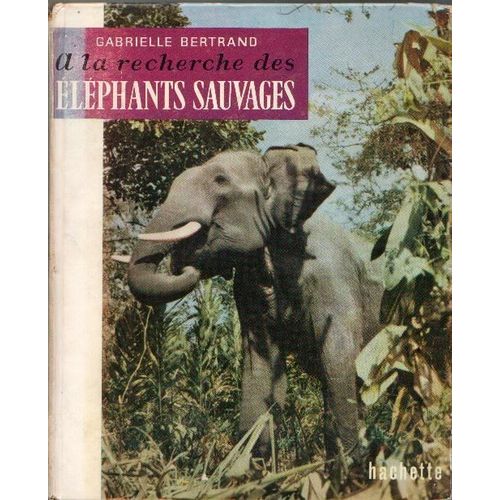 A La Recherche Des Elephants Sauvages