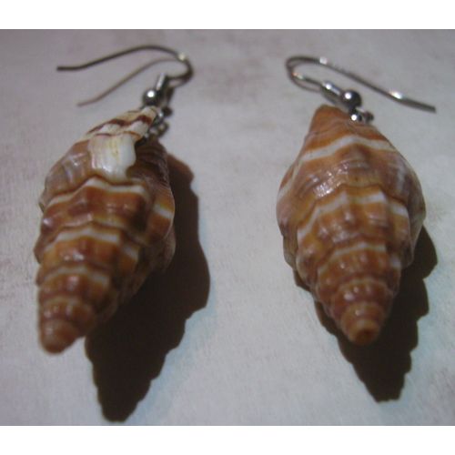 Boucles D'oreilles Coquillages
