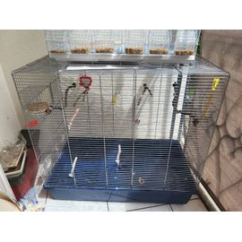 Cage À Oiseaux