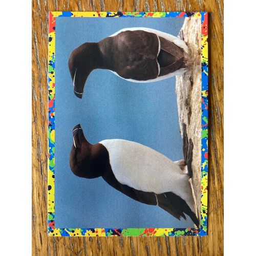 (4120) Image Panini 116 Le Monde Des Animaux Mille Et Une Couleurs 