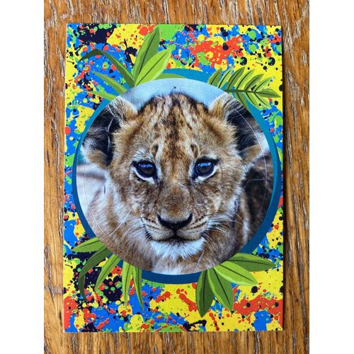 (3907) Image Panini 81 Le Monde Des Animaux Mille Et Les Couleurs 