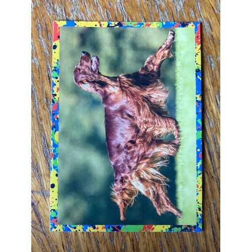 (4169) Image Panini 175 Le Monde Des Animaux Mille Et Une Couleurs 