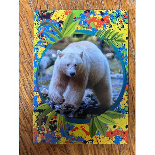 (4326) Image Panini 99 Le Monde Des Animaux Mille Et Couleurs 