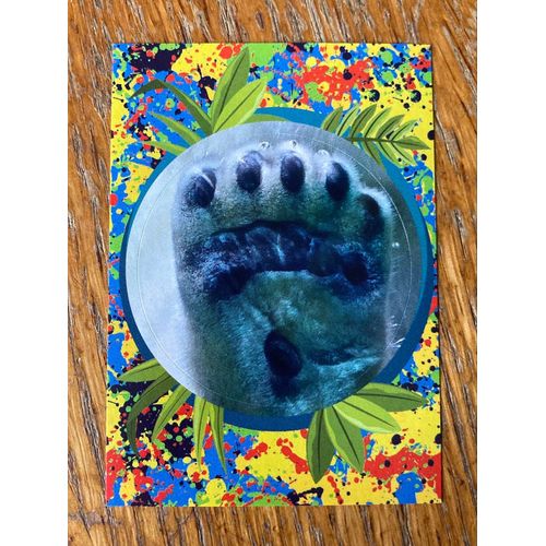 (4096) Image Panini 107 Le Monde Des Animaux Mille Et Une Couleurs