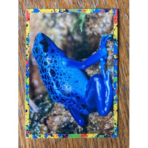 (4067) Image Panini 56 Le Monde Des Animaux Mille Et Une Couleurs 