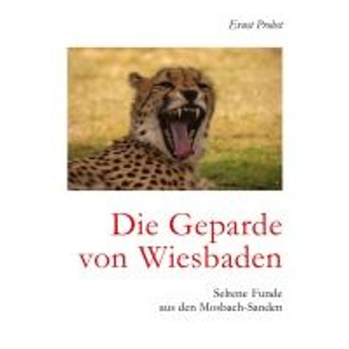 Die Geparde Von Wiesbaden